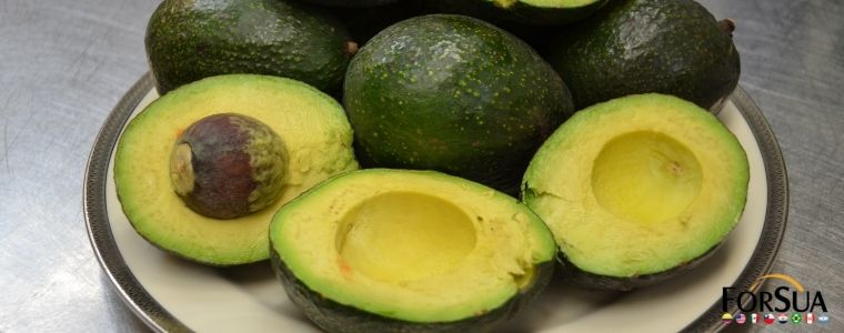 Cultiva aguacate en 2 minutos