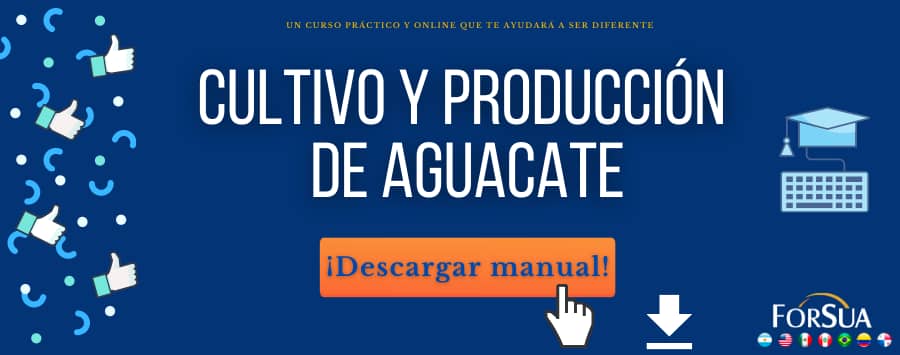 Manual de Cultivo y Producción de Aguacate